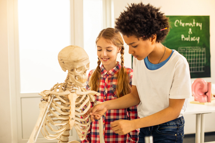 online middle school 8th grade science class